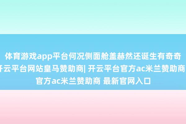 体育游戏app平台何况侧面舱盖赫然还诞生有奇奇怪怪的了得-开云平台网站皇马赞助商| 开云平台官方ac米兰赞助商 最新官网入口