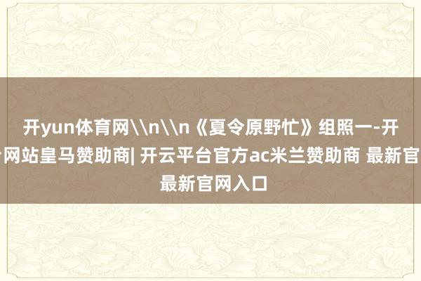 开yun体育网\n\n《夏令原野忙》组照一-开云平台网站皇马赞助商| 开云平台官方ac米兰赞助商 最新官网入口