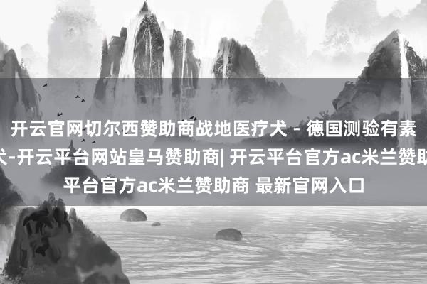 开云官网切尔西赞助商战地医疗犬 - 德国测验有素的医疗犬和搜救犬-开云平台网站皇马赞助商| 开云平台官方ac米兰赞助商 最新官网入口