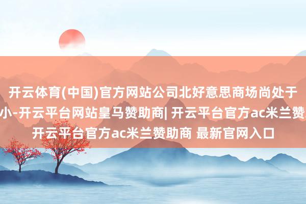 开云体育(中国)官方网站公司北好意思商场尚处于开垦阶段且占相比小-开云平台网站皇马赞助商| 开云平台官方ac米兰赞助商 最新官网入口