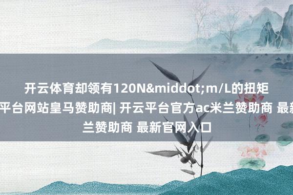 开云体育却领有120N&middot;m/L的扭矩密度-开云平台网站皇马赞助商| 开云平台官方ac米兰赞助商 最新官网入口